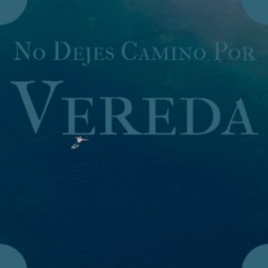 Listen to Siempre Te Vas En Las Tardes song with lyrics from Fernando Alvarez