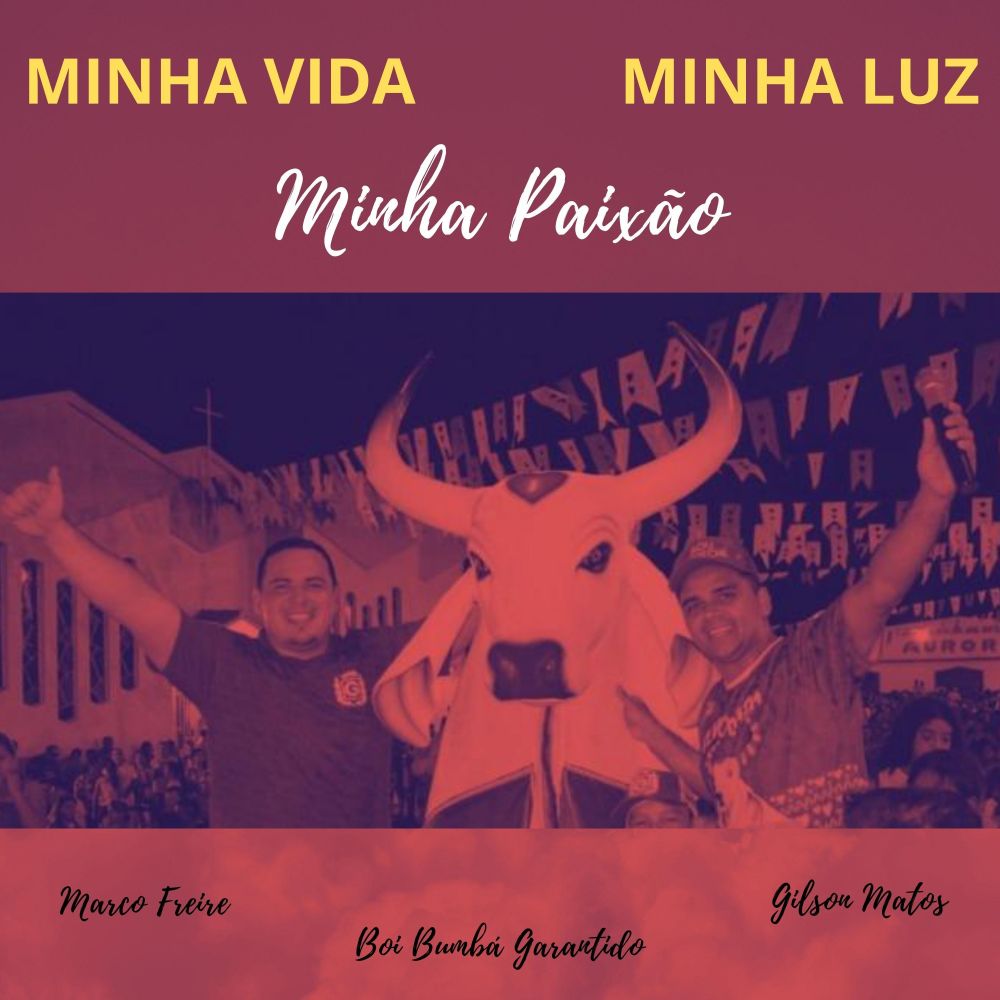Minha Vida, Minha Luz, Minha Paixão