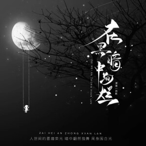 Album 在黑暗中绚烂 from 
