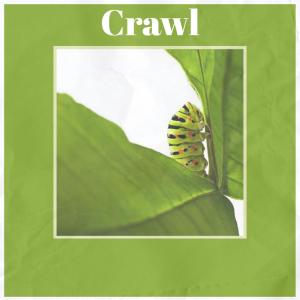 收聽Erni Urki的Crawl歌詞歌曲