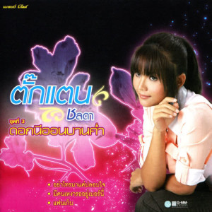 ดาวน์โหลดและฟังเพลง อย่าโทรมาแค่ปลอบใจ พร้อมเนื้อเพลงจาก ตั๊กแตน ชลดา