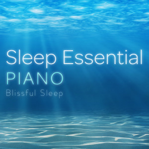 Listen to Sunset Song song with lyrics from Relax α Wave