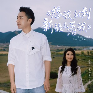 Listen to 想我，就到新疆来看我 (伴奏) song with lyrics from 艾尼瓦尔江