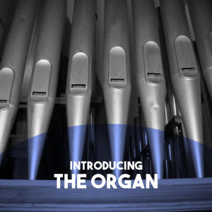 收聽Moscow RTV Symphony Orchestra的Fantasie No. 1 for Organ in E-Flat Major歌詞歌曲