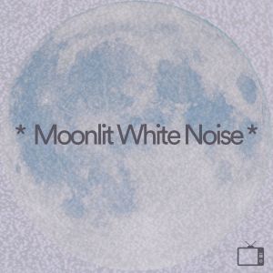Listen to Moonlit White Noise, Pt. 93 song with lyrics from The Background Noise Company