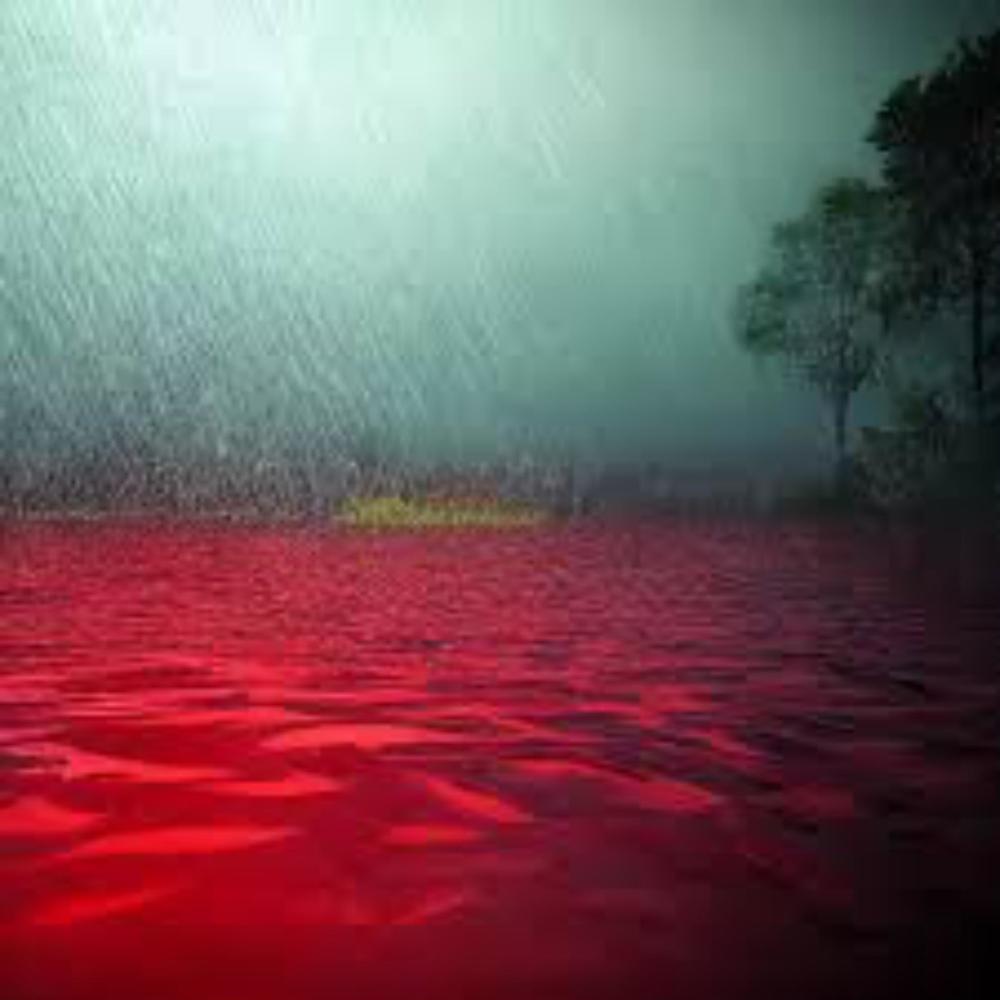 MURDER LAKE (Explicit)