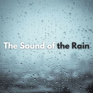 อัลบัม The Sound of the Rain ศิลปิน Rain Sounds
