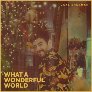 Album What A Wonderful World oleh Jake Sherman