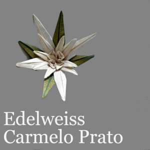 Carmelo Prato的专辑Edelweiss