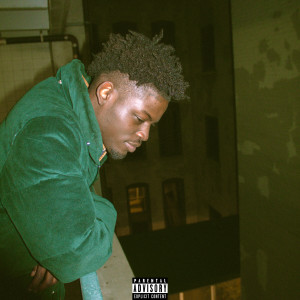 ดาวน์โหลดและฟังเพลง no love (Explicit) พร้อมเนื้อเพลงจาก nappy 01'
