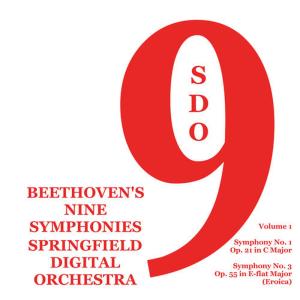 ดาวน์โหลดและฟังเพลง Symphony No. 1 in C Minor, Op. 21: II. Andante Cantabile Con Moto พร้อมเนื้อเพลงจาก Springfield Digital Orchestra