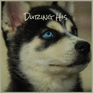 Listen to Deposing Them song with lyrics from Gion Delen