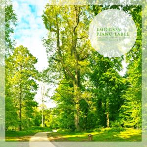 Album Healing Piano With A Whisper In The Clear Woods (Nature Ver.) from 