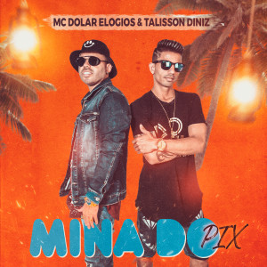 Album Mina do Pix from MC Dolar Elogios