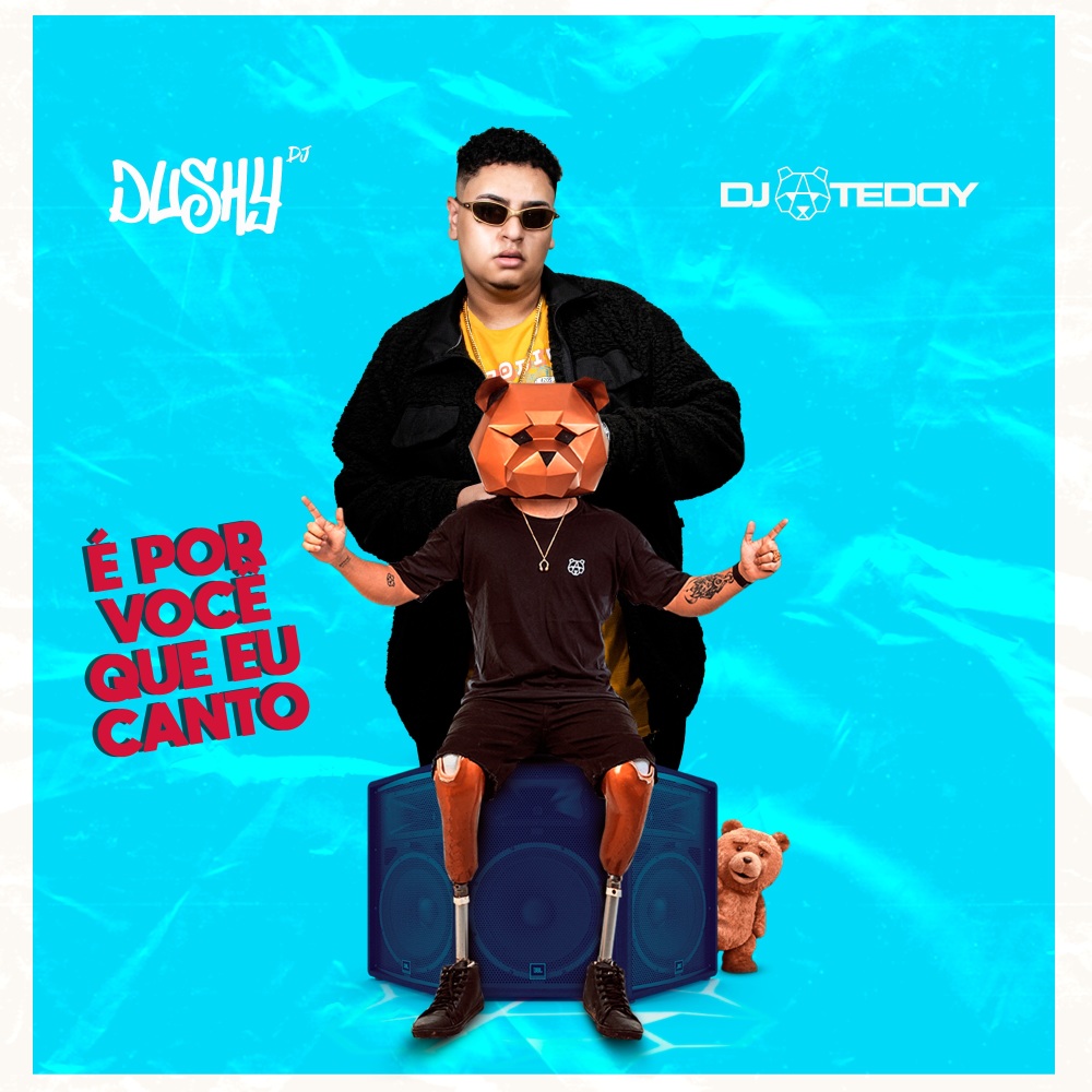 É por Você Que Eu Canto (Remix)