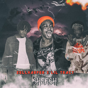 Dengarkan Sheesh (Explicit) lagu dari ZellHarper dengan lirik