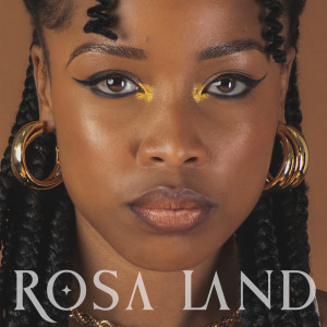 Listen to Disko song with lyrics from TheOnlyRosa