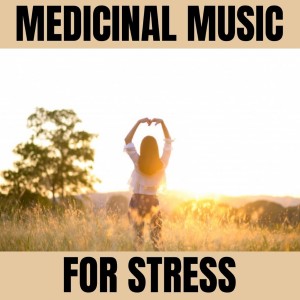 To Release Stress的专辑Medicinal Music for Stress