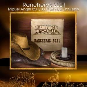 收聽Miguel Angel Tzul y Su Marimba Orquesta的Rancheras 2021: En Peligro de Extinción / Donde Estás Presumida / Mi Enemigo el Amor / Besando la Cruz / El Abandonado歌詞歌曲