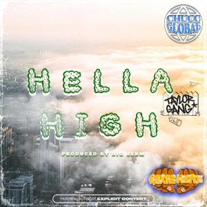 Fedd The God的專輯HELLA HIGH (feat. Cuzin Jiggy & Fedd The God) [Explicit]