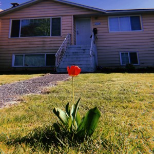 Album MY HOME 32 from 