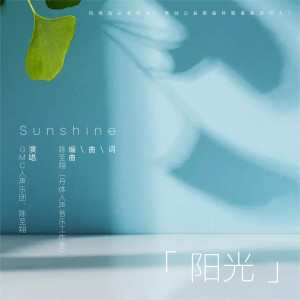 Listen to 阳光 song with lyrics from GMC人声乐团
