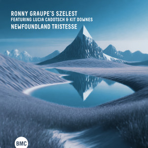 Listen to Stardust song with lyrics from Ronny Graupe