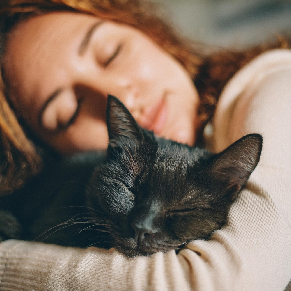 Melodías Nocturnas Para El Sueño De Los Gatos
