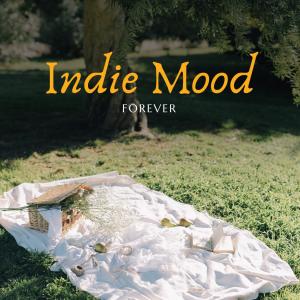 Album Indie Mood Forever oleh Various