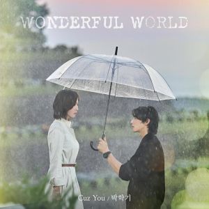 อัลบัม 원더풀 월드 OST Part.1 ศิลปิน Park Haki