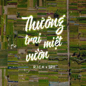 Dengarkan lagu Thương Trai Miệt Vườn nyanyian R.I.C.K dengan lirik