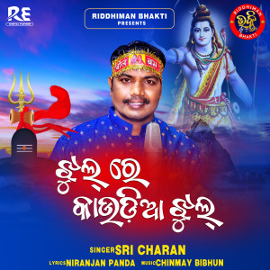ดาวน์โหลดและฟังเพลง Jhul Re Kaudia Jhul พร้อมเนื้อเพลงจาก Sri Charan Mohanty