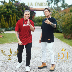 ดาวน์โหลดและฟังเพลง La Única พร้อมเนื้อเพลงจาก David Juan