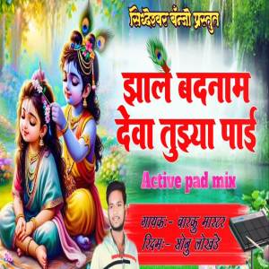 收聽Sonu Lokhande的Zale Badnam Deva Tuzya Pai歌詞歌曲