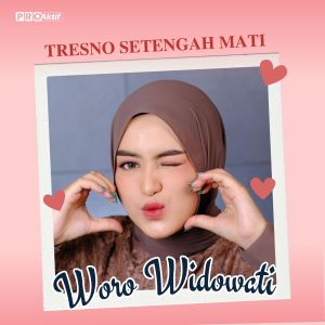 Album Tresnomu Setengah Mati oleh Woro Widowati