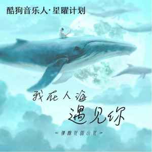 收聽彈棉花的小花的我在人海遇見你 (女聲版)歌詞歌曲