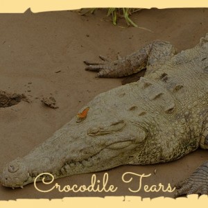 Dengarkan Crocodile Tears lagu dari Doris Day dengan lirik