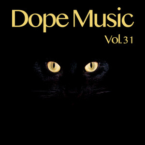 收听D-Project的Don't Listen I Don't Care歌词歌曲