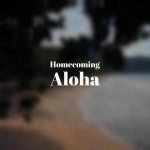 Various的专辑Homecoming Aloha