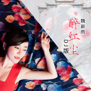 Listen to 醉红尘-DJ何鹏版 (DJ何鹏版) song with lyrics from 魏新雨