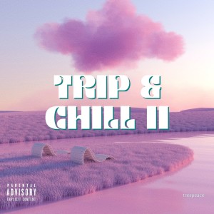 trespeace的專輯Trip & Chill 2 (Explicit)