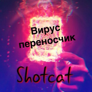 Listen to Вирус-переносчик song with lyrics from Shotcat