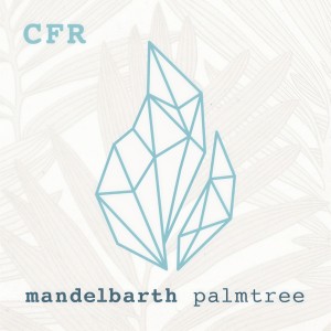 Listen to Palmtree (Balduin Remix) song with lyrics from Mandelbarth