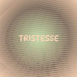 Album Tristesse oleh Silvia Natiello-Spiller