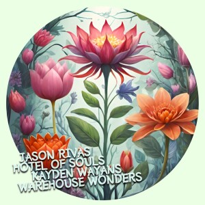 Album Warehouse Wonders from 