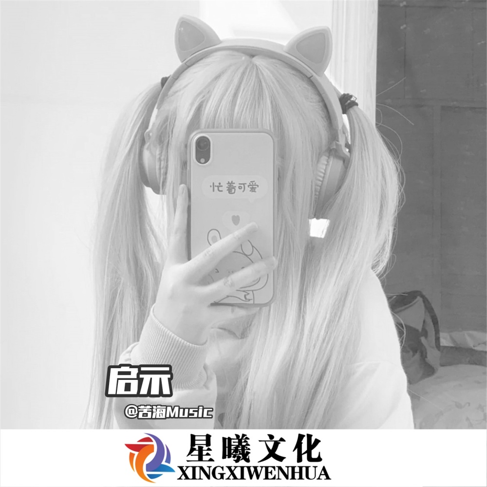 点歌的人 (DJ版)