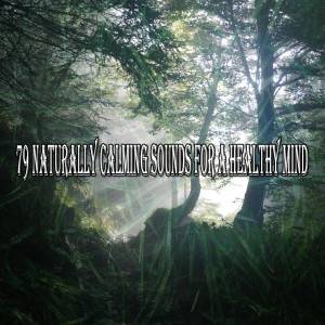 Listen to Outer Body song with lyrics from Asian Zen Spa Music Meditation