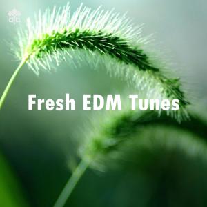 收听Fede的Malindi歌词歌曲