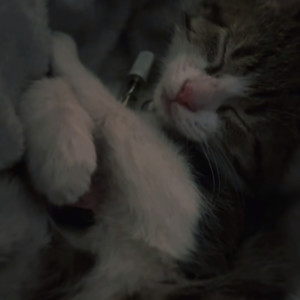 收聽Two Tone的Fadeaway (Explicit)歌詞歌曲