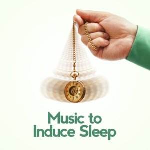 อัลบัม Music to Induce Sleep ศิลปิน Deep Sleep Meditation